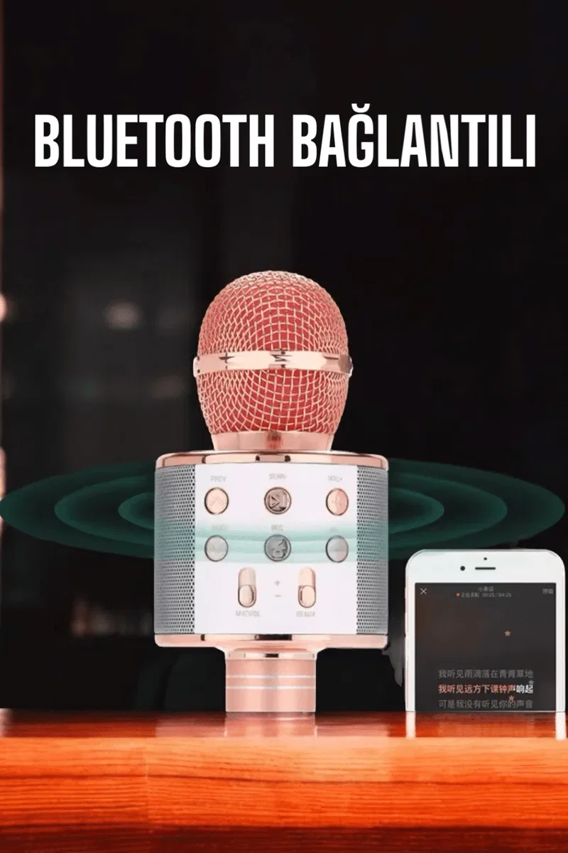 Kablosuz Bluetooth Karaoke Mikrofon USB ve AUX Girişli, Yüksek Ses Kalitesi görsel 5