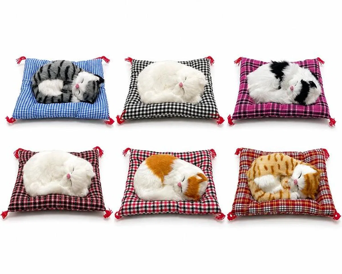 Yastıkta Uyuyan Kedi Sesli Alk25