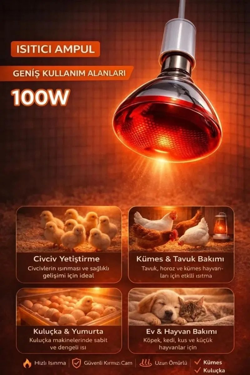 100w Isıtıcı Ampul Kırmızı Isı Lambası Civciv Kümes Kuluçka E27 Duy Isıtma Ampulü görsel 2