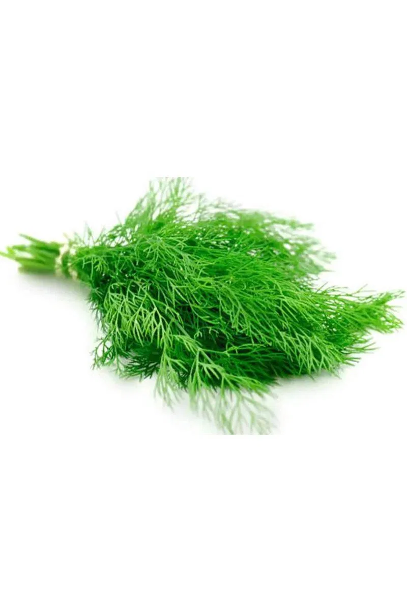 Dere Otu Tohumu 10 Gr görsel 3