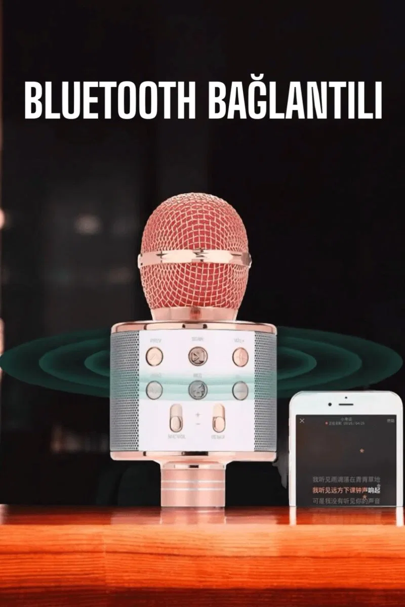 Kablosuz Bluetooth Karaoke Mikrofon Usb Ve Aux Girişli, Yüksek Ses Kalitesi görsel 5
