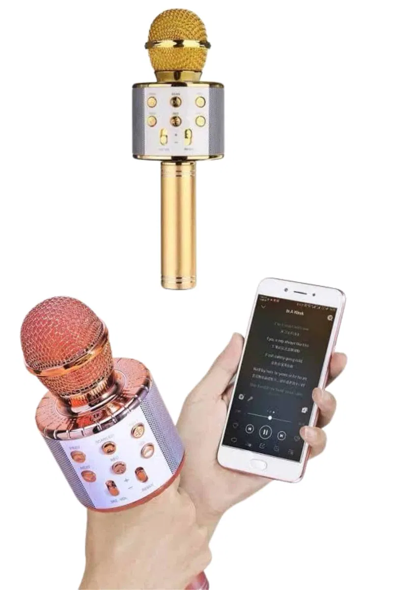 Bluetooth Hoparlör USB AUX SD Kart Kaoroke Mikrofon Uzun Pil Ömrü görsel 3