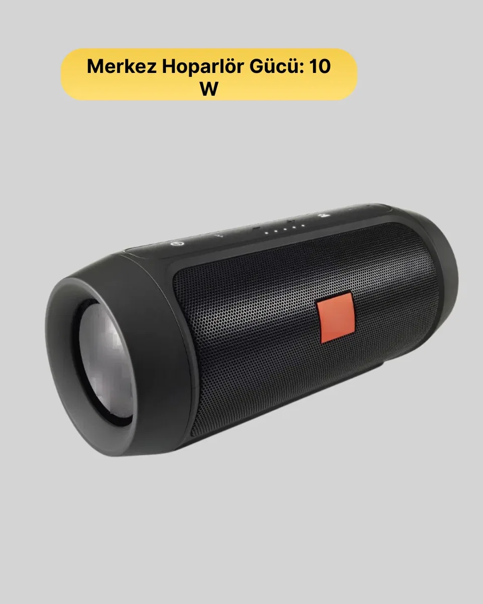 TG117 HOPARLÖR görsel 3